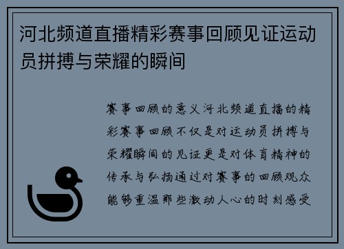 河北频道直播精彩赛事回顾见证运动员拼搏与荣耀的瞬间